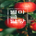 별금달마당