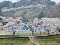 한국천막렌탈