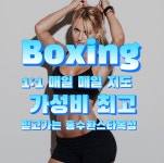 홍수환스타복싱체육관 강남점