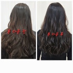태후사랑 무전점
