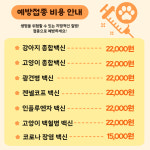 석촌호수동물병원