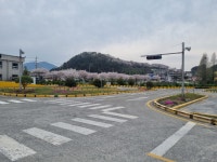 현대 자동차 운전 전문학원