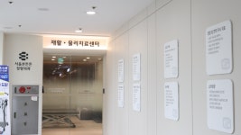 서울본튼튼정형외과의원