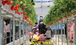 청도신도새마을발상지정보화마을