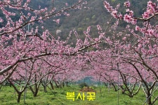 청도신도새마을발상지정보화마을