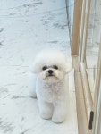 메리몰펫샵 일광점