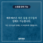 패투헤븐
