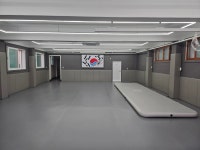 합기도대의관