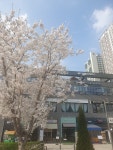 세무회계 한결