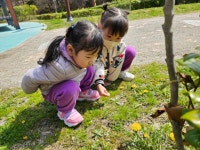 환희지유치원
