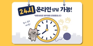 고양이분양 전문 달루나캣츠