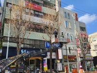 포레조경나무병원