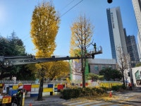 포레조경나무병원