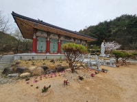 반야사