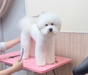 멍스타일