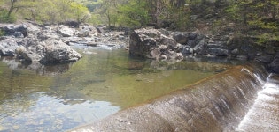 원동자연휴양림