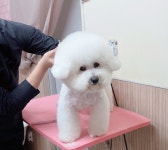 멍스타일