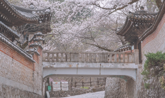 선운각 사진 4