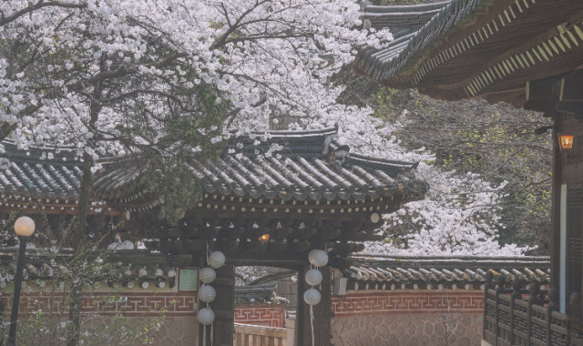 선운각 사진 3