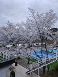 산청프리미엄캠핑장