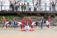 경희대청량태권도