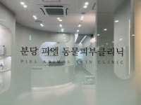 분당 피엘 동물피부클리닉