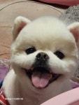 J 엣 야니 스타일