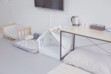 제주애견전문 엔젤하우스