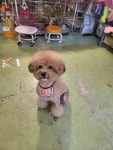 J 엣 야니 스타일