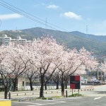 투썸플레이스 양산상북점