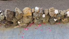 메가MGC커피 제주이호로드점