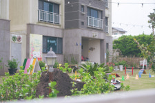 제주애견전문 엔젤하우스