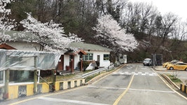 세종현대자동차운전전문학원