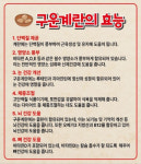 문지로 쭈꾸미