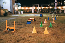 제주애견전문 엔젤하우스