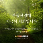 수완경매아카데미학원