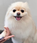 러블리댕