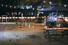 제주애견전문 엔젤하우스