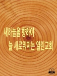 대한예수교장로회 새늘교회
