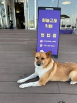 하늘고래카페