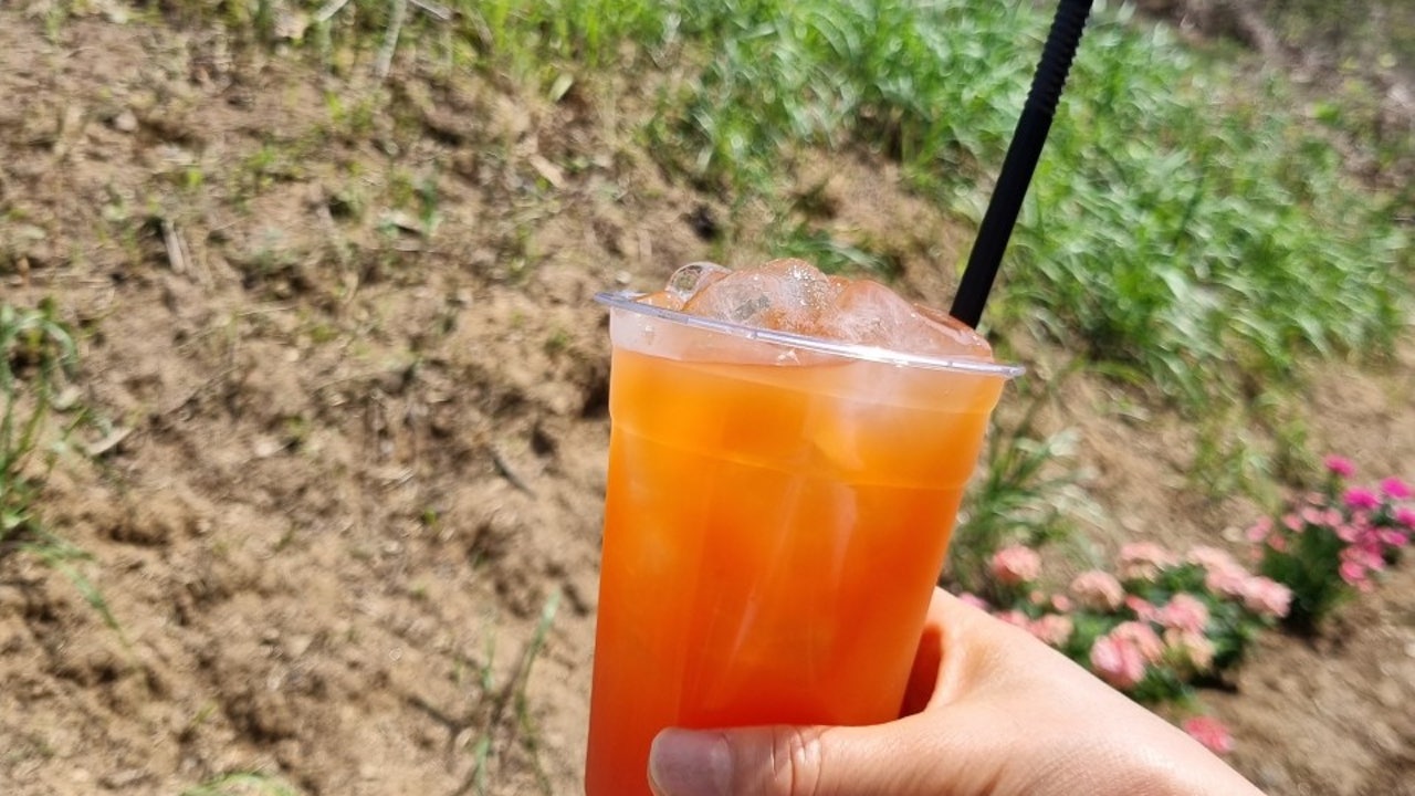 카페힐