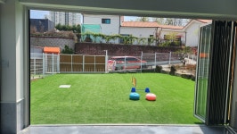 놀러오개 애견유치원 애견호텔 산동옥계점