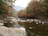 을수골 하얀집펜션