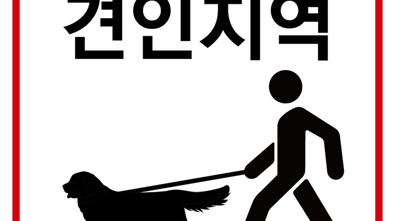 CAFE견인지역