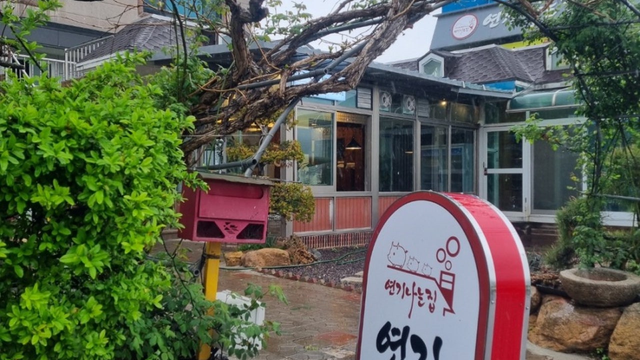 연기나는집