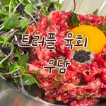 우담
