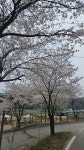 칠봉송정캠핑장