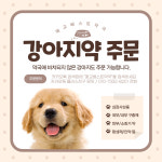 휴베이스 매교베스트약국
