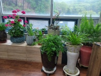 더힐링해독센터