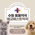 휴베이스 매교베스트약국